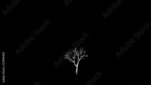 Growing tree. ALPHA MATTE