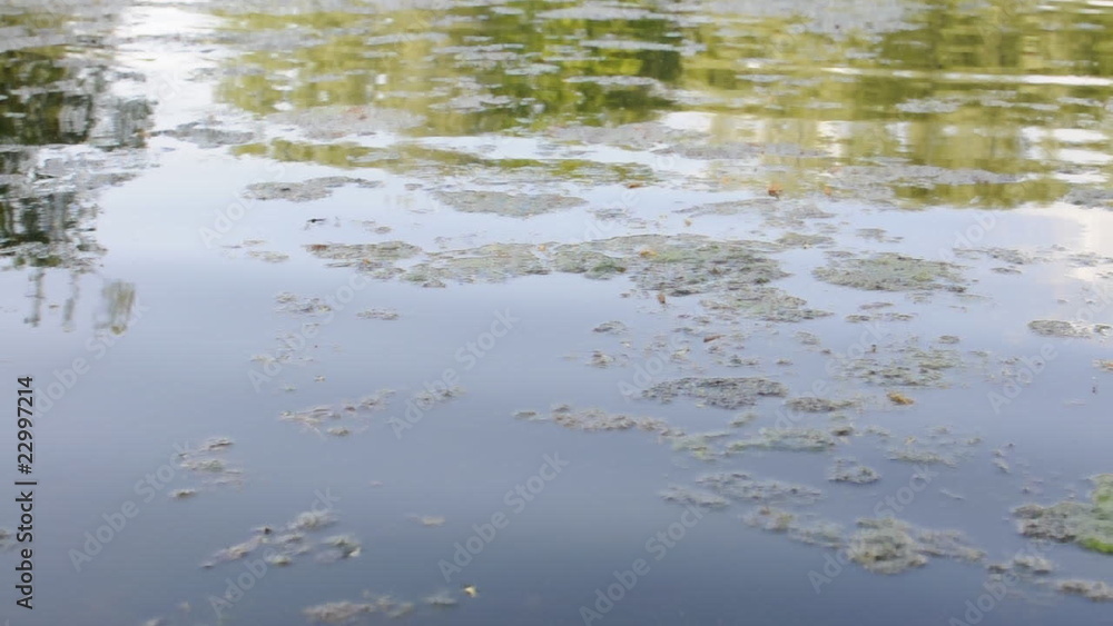 Kleiner See Kleiner See
