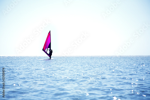 windsurfer