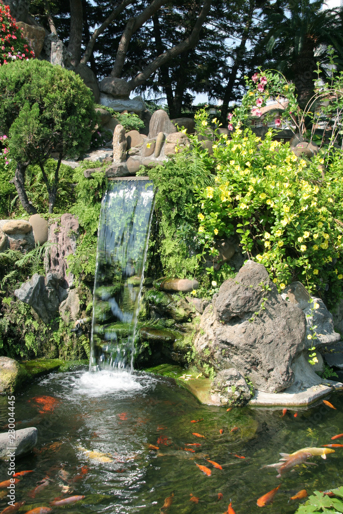 Waterfall and Koi pond in an Asian garden