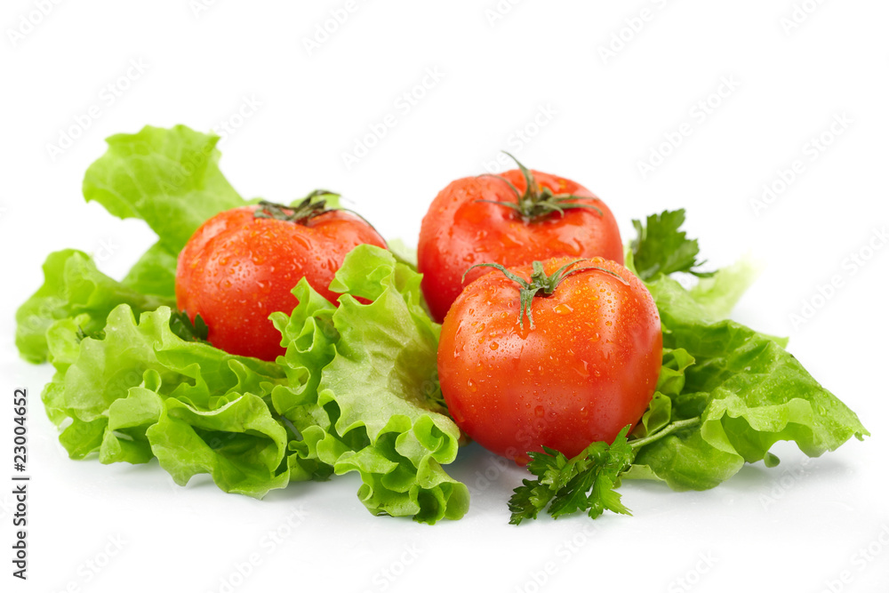 Tomatoes and lettuce on the white background Tomatoes and lettuce on the white background