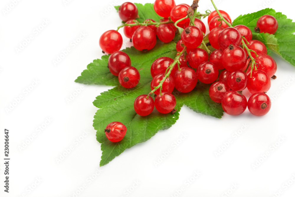Red currant fruit and green leaves. Red currant fruit and green leaves.