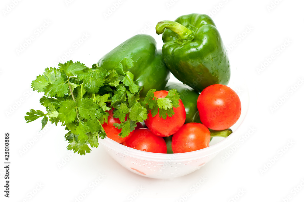 green peppers, parsley and tomatoes green peppers, parsley and tomatoes