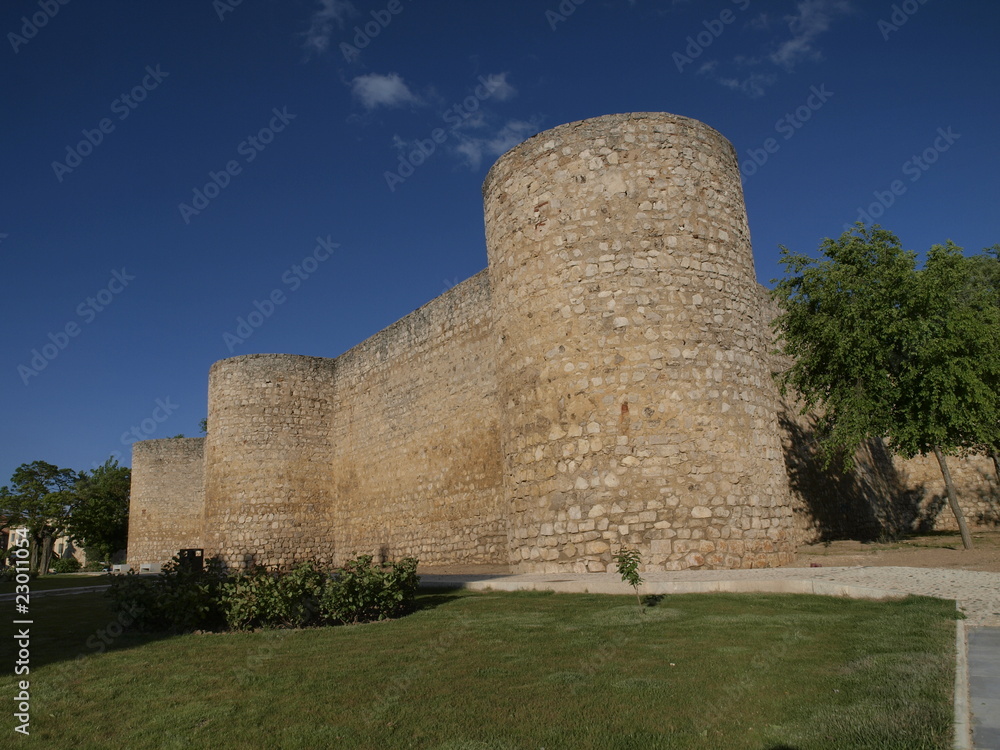Castillo de Toro (Zamora)