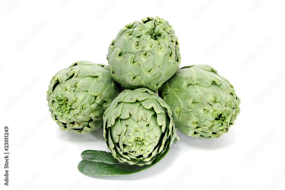 Obraz premium artichokes
