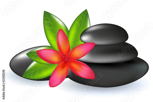 Fragipani With Leaves And Stones