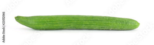 European cucumber