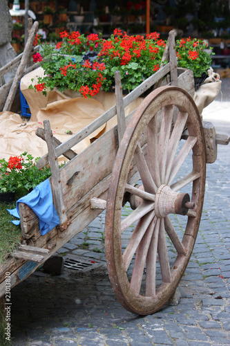 Vecchio carretto coperto di fiori