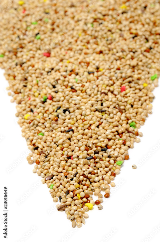 birdseed birdseed