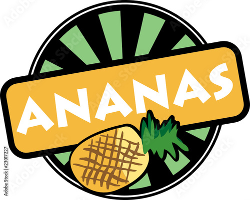 Label - ananas, vector illustration