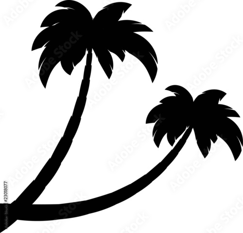 Silhouette of two palms