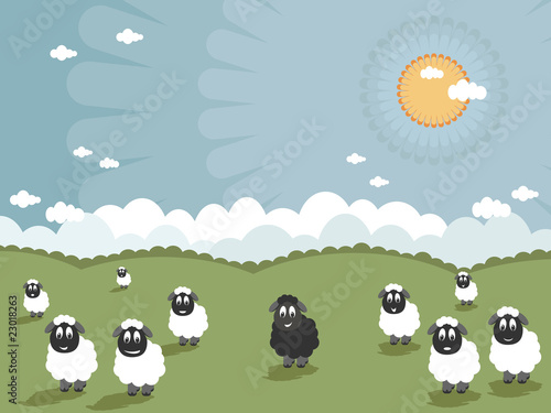 black sheep
