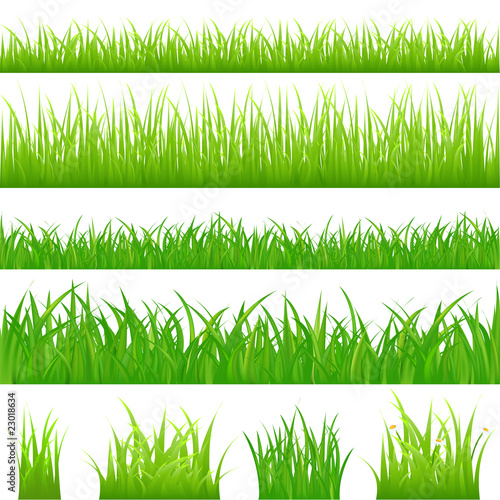 4 backgrounds of green grass and 4 tufts of grass