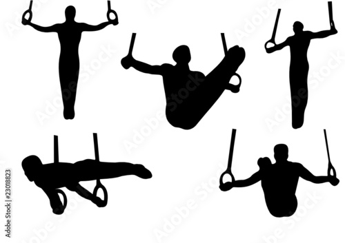 sport gymnastics rings vector