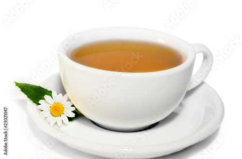 Herbal camomile tea isolated on white background