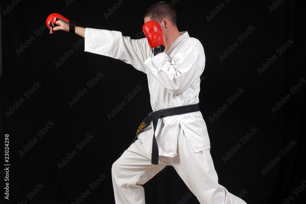 karate coup de poing zuki Photos Adobe Stock