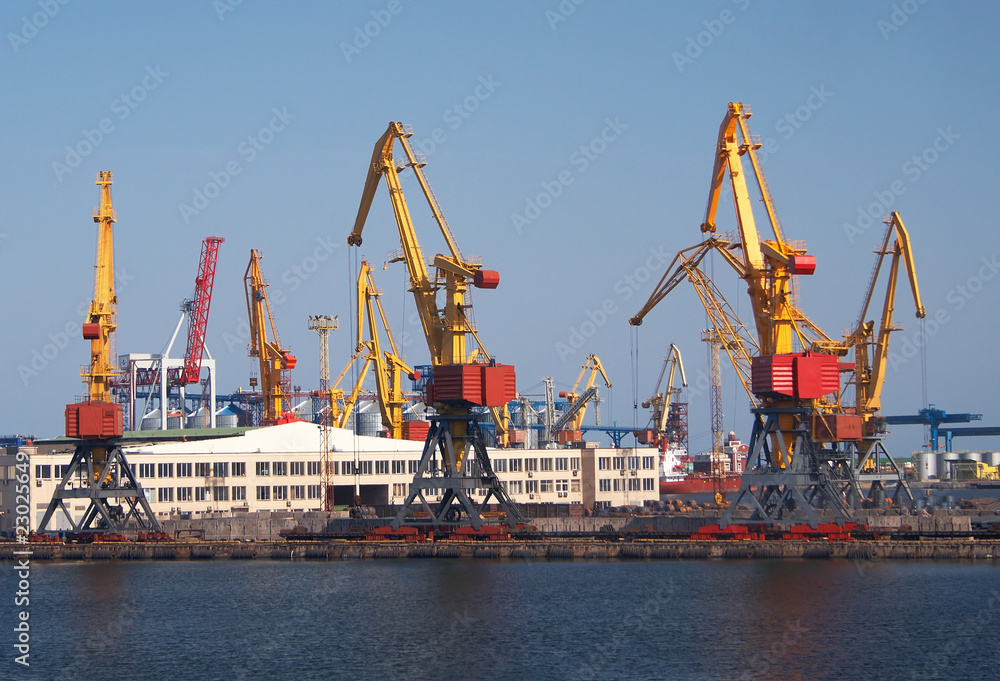 A cargo cranes in the port
