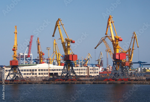 A cargo cranes in the port