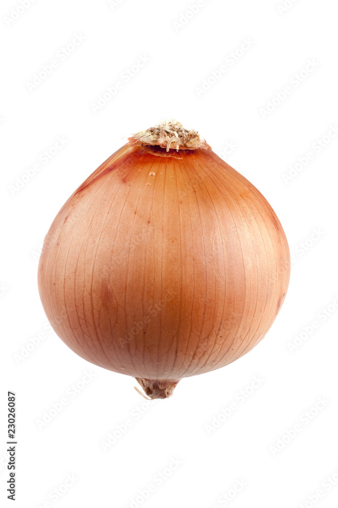 golden onion