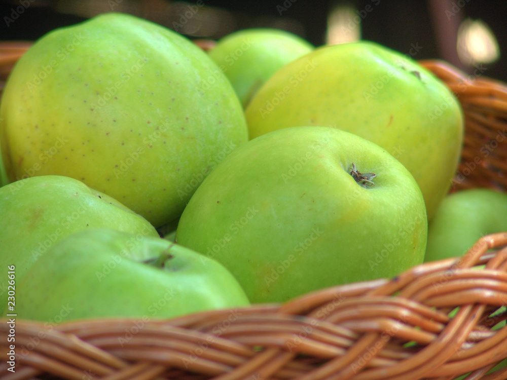 Apples in the basket nb. 13 Apples in the basket nb. 13