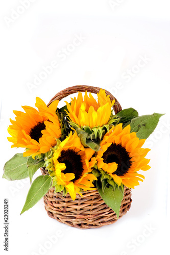 Sunflowers in a basket