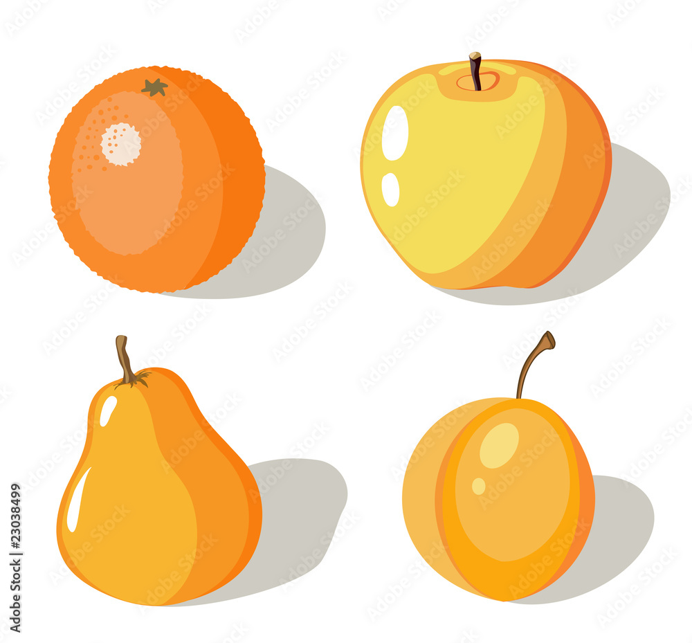 Set of four orange fruits on white background