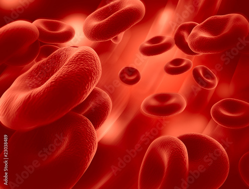 bloodcells