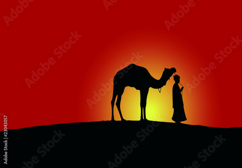camel nomade
