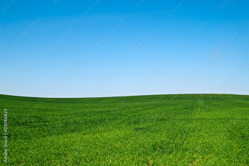 landscape landscape
