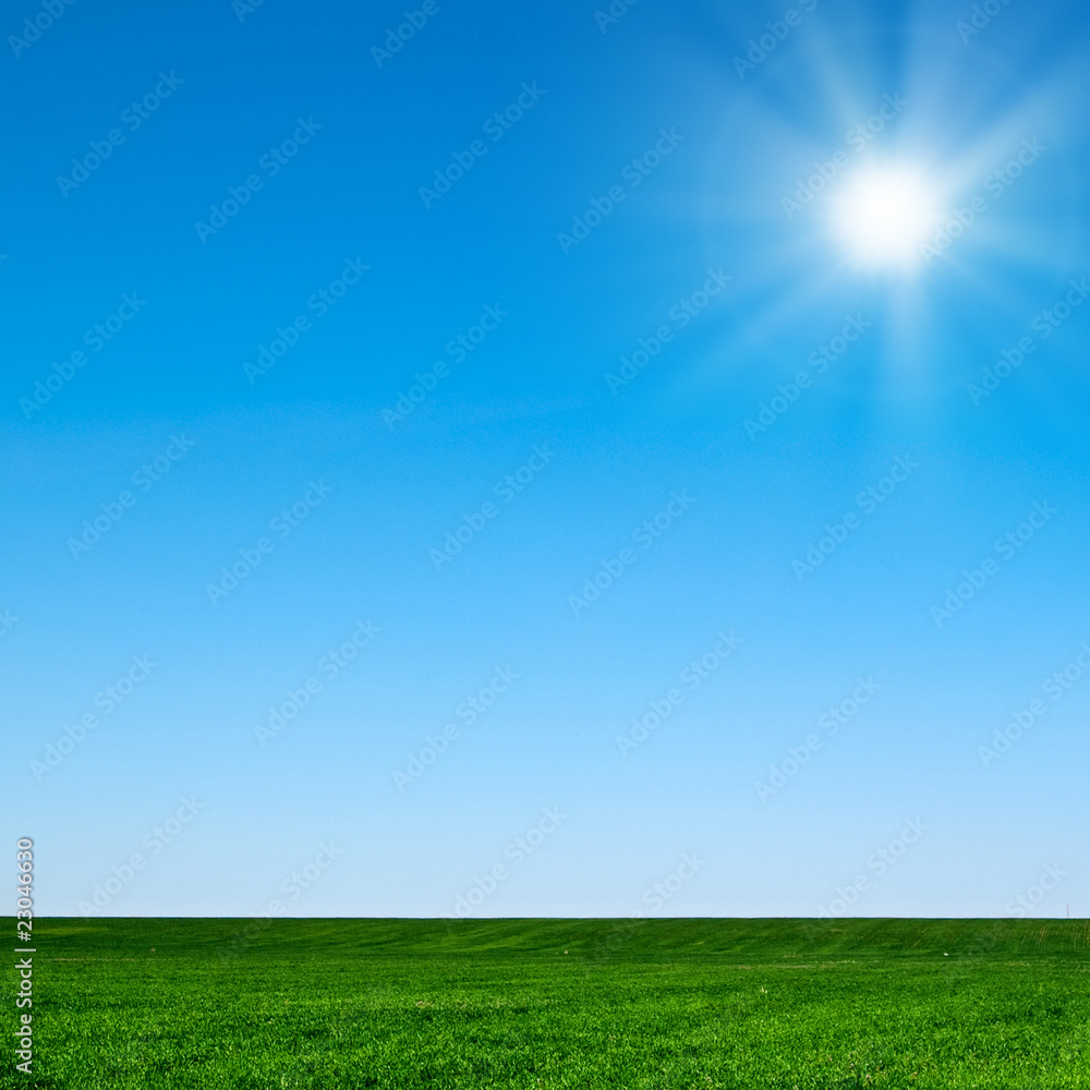 Fototapeta premium landscape