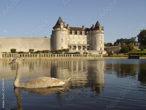 Fototapeta Naklejka Na Ścianę i Meble -  Aux abord du Chateau de la Belle au Bois Dormant