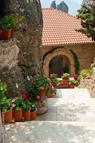 Fototapeta Naklejka Na Ścianę i Meble -  Flowers at the doorway