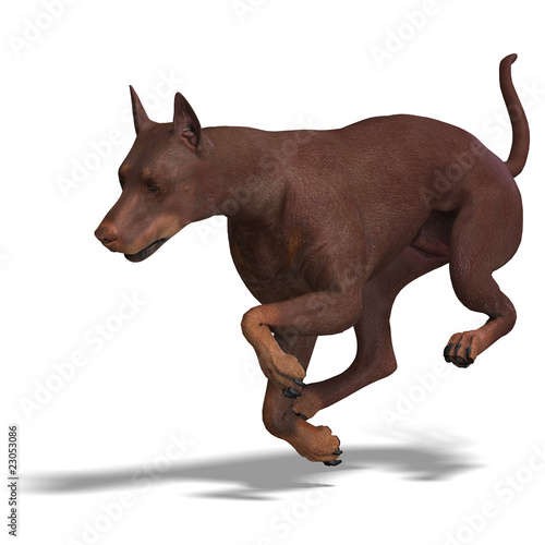 Doberman Dog. 3D rendering with clipping path and shadow over wh