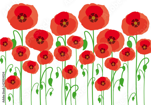 amapolas