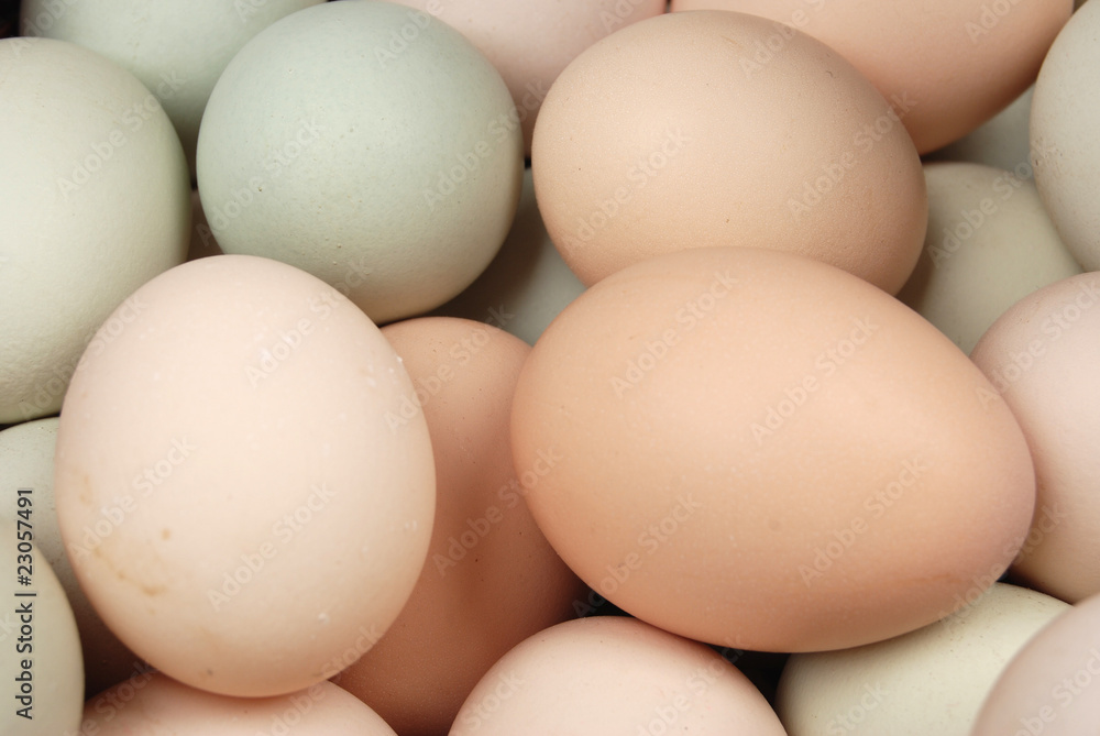 eggs eggs