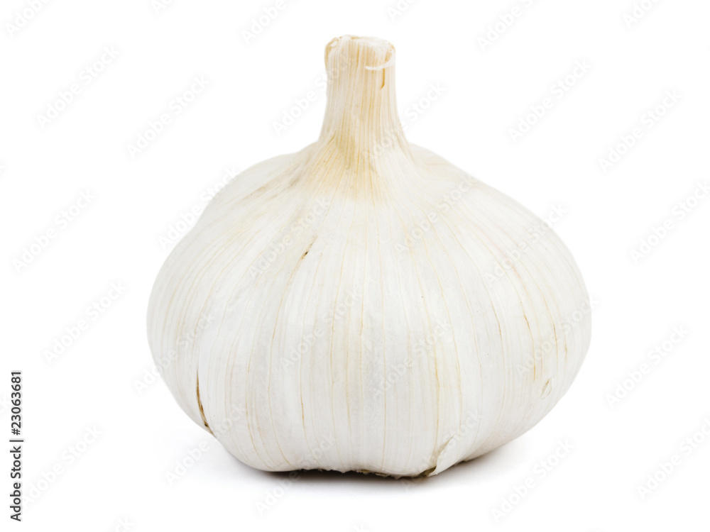 Obraz premium Garlic