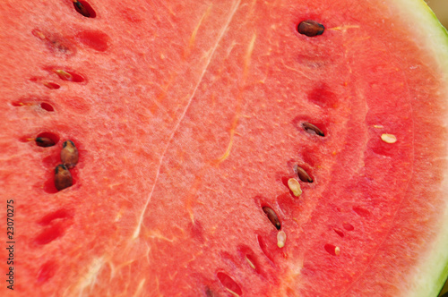 Wassermelone photo