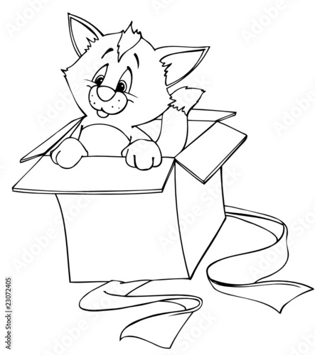 Katze, Kater, Geschenk, Karton, Überraschung