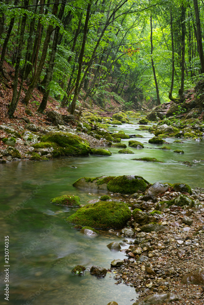 Obraz premium River deep in mountain forest