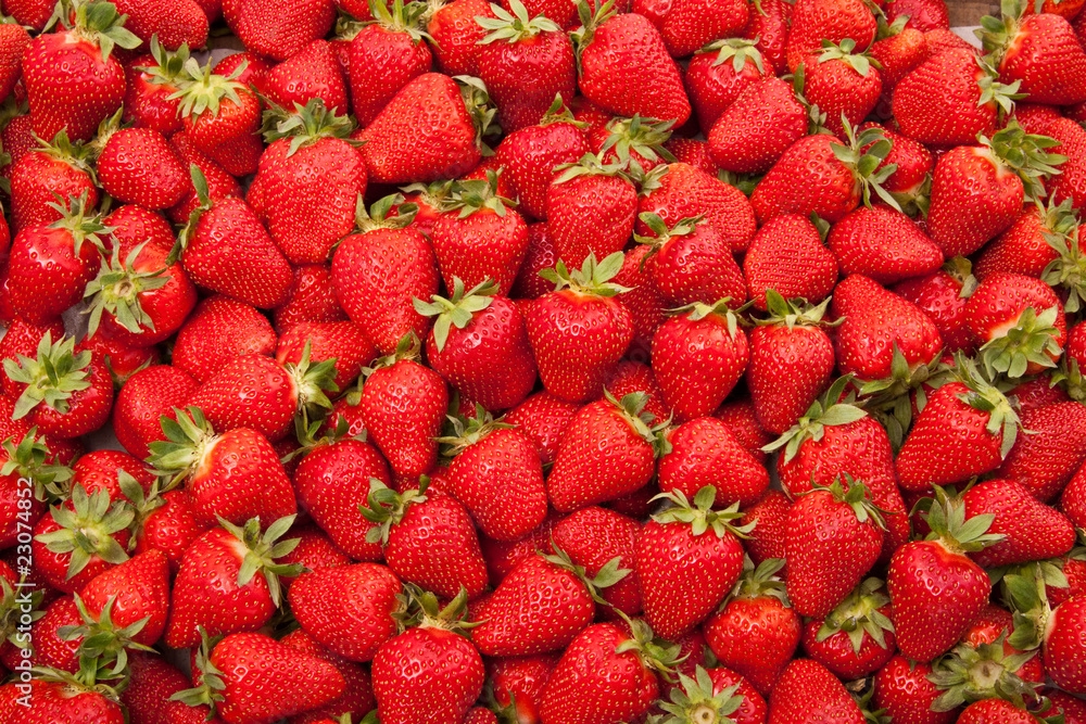fresh strawberry fresh strawberry