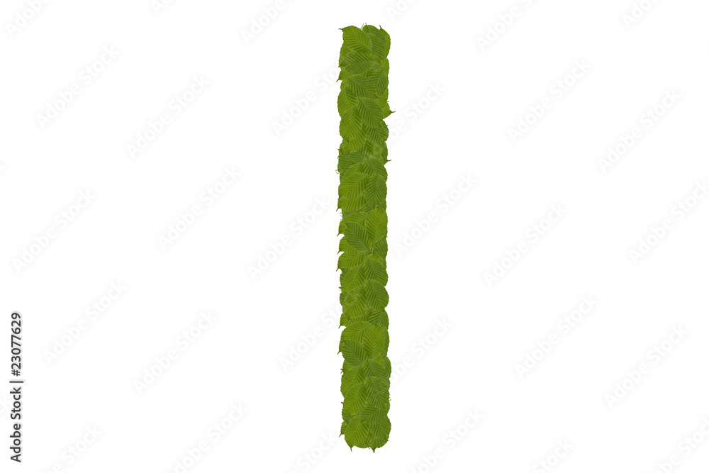 Naklejka premium green leaves I