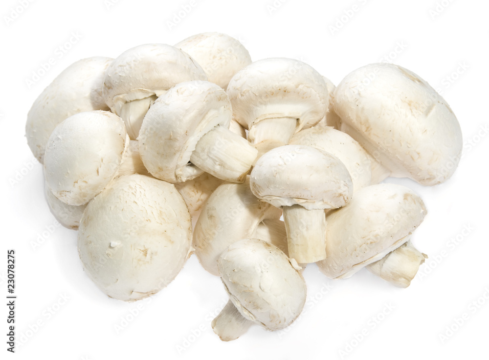 Pile of white mushrooms