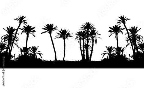 palm tree marrakech rempart