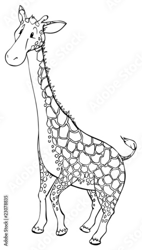 Giraffe, Afrika, Steppe, Savanne, Zoo, Hals, groß, riesig