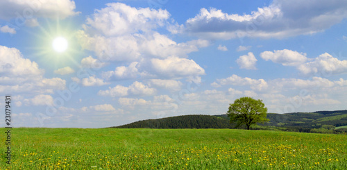 landschaft,sommer © Swetlana Wall