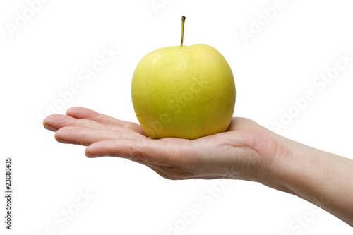 one yellow apple in the hand