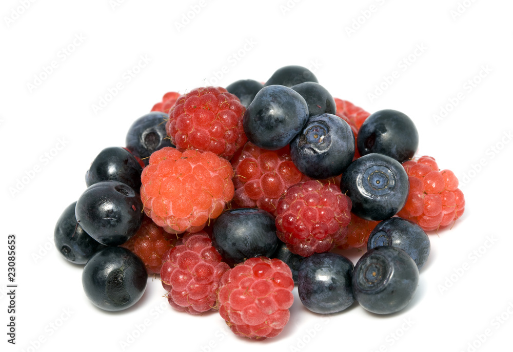 berries of raspberry and bilberry on white background berries of raspberry and bilberry on white background