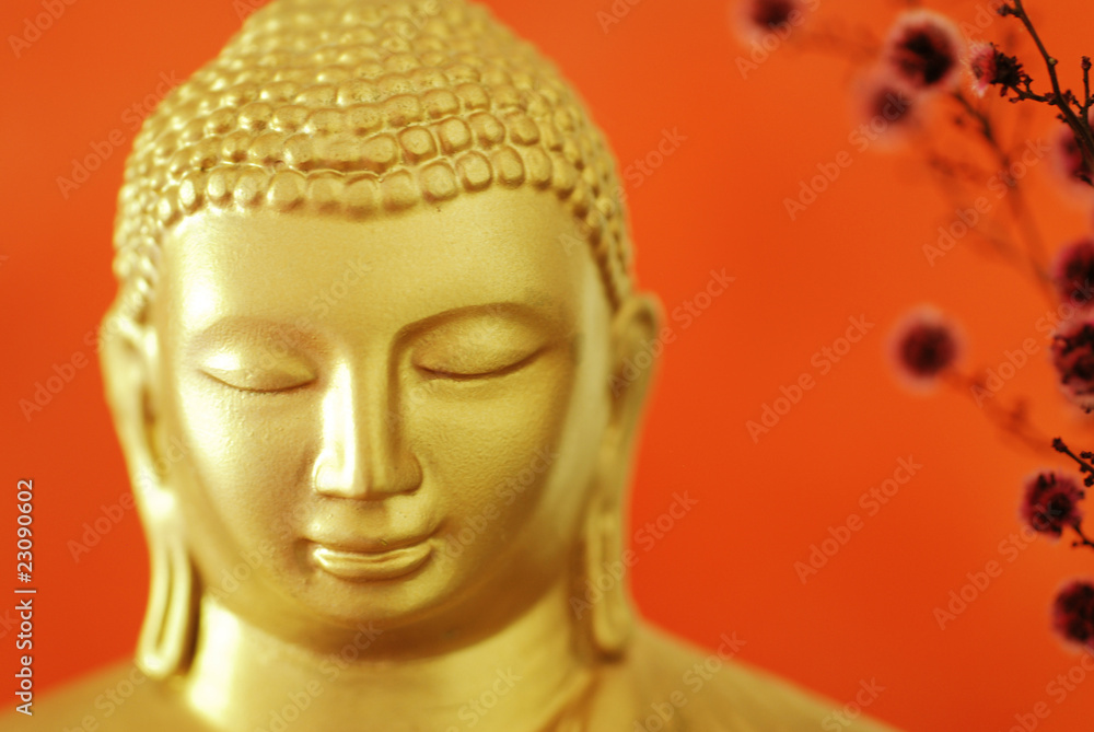 Buddha Buddha