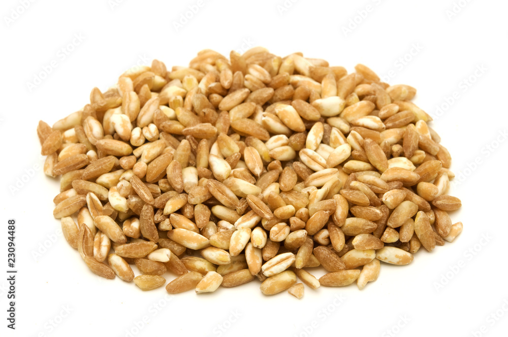 Farro Farro