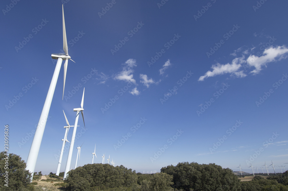 wind energy